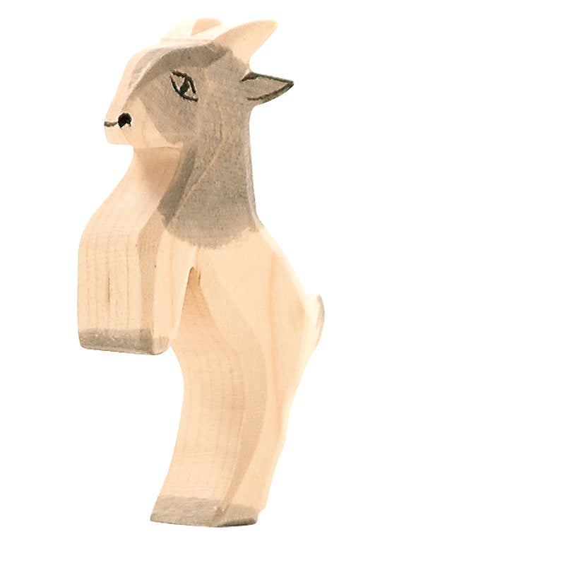 ostheimer goat kid, jumping