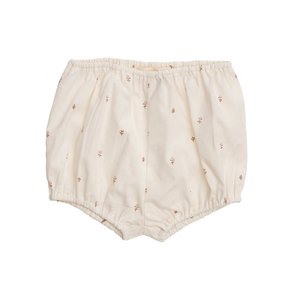baby bloomers - aster