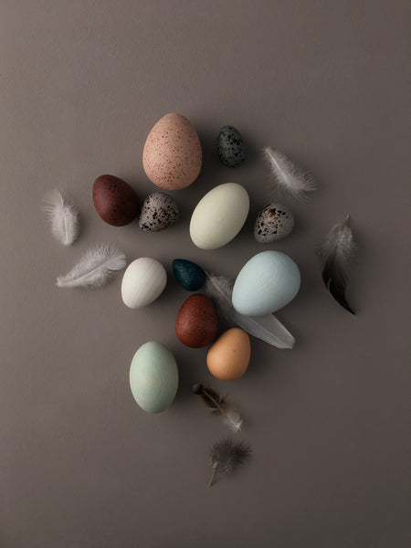 a dozen bird eggs