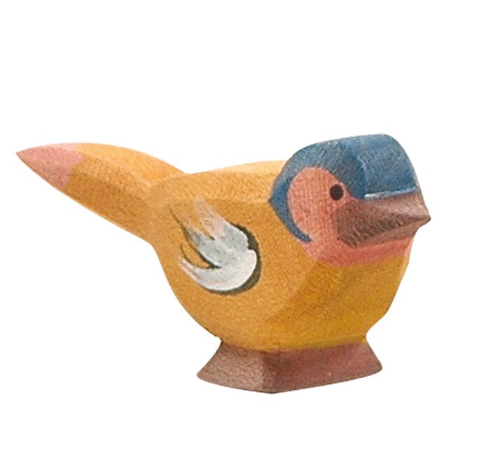Ostheimer chaffinch