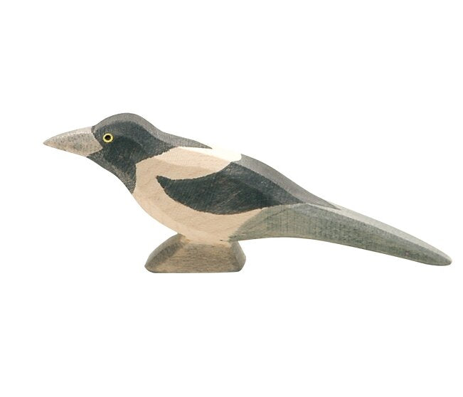 Ostheimer magpie