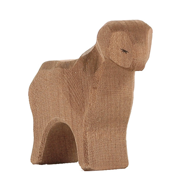 Ostheimer, brown sheep standing