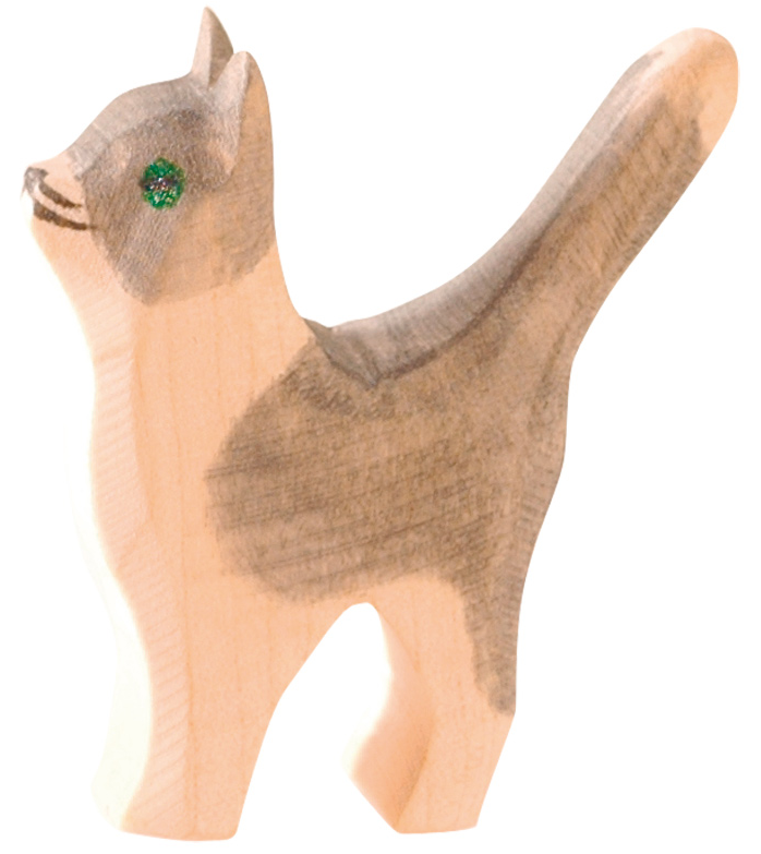 Ostheimer grey cat head up