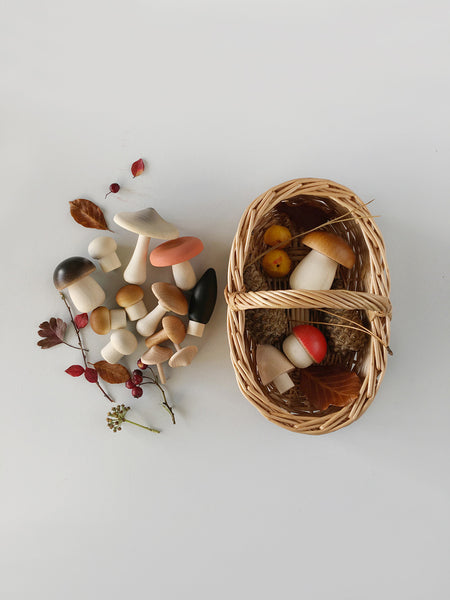 forest basket with mushrooms