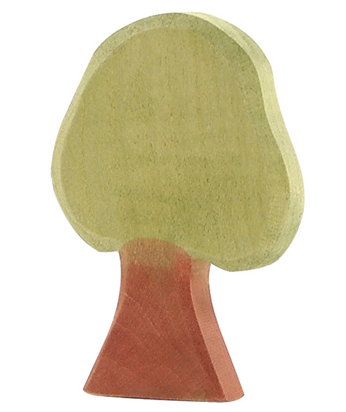 Ostheimer linden tree